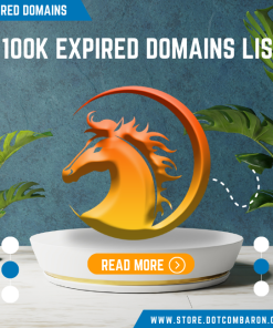 Comprehensive 100K Expired Domain List – Unlock Hidden Opportunities for Your Online Ventures!