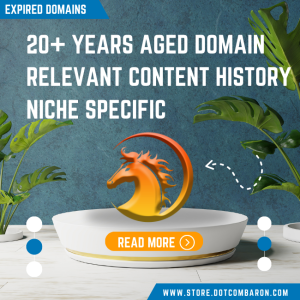 Exclusive 20+ Years Aged Domain Name with Relevant Content History!