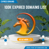 Comprehensive 100K Expired Domain List – Unlock Hidden Opportunities for Your Online Ventures!