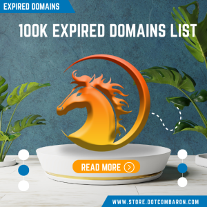 Comprehensive 100K Expired Domain List – Unlock Hidden Opportunities for Your Online Ventures!