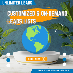 Customized and On-Demand Leads List Service